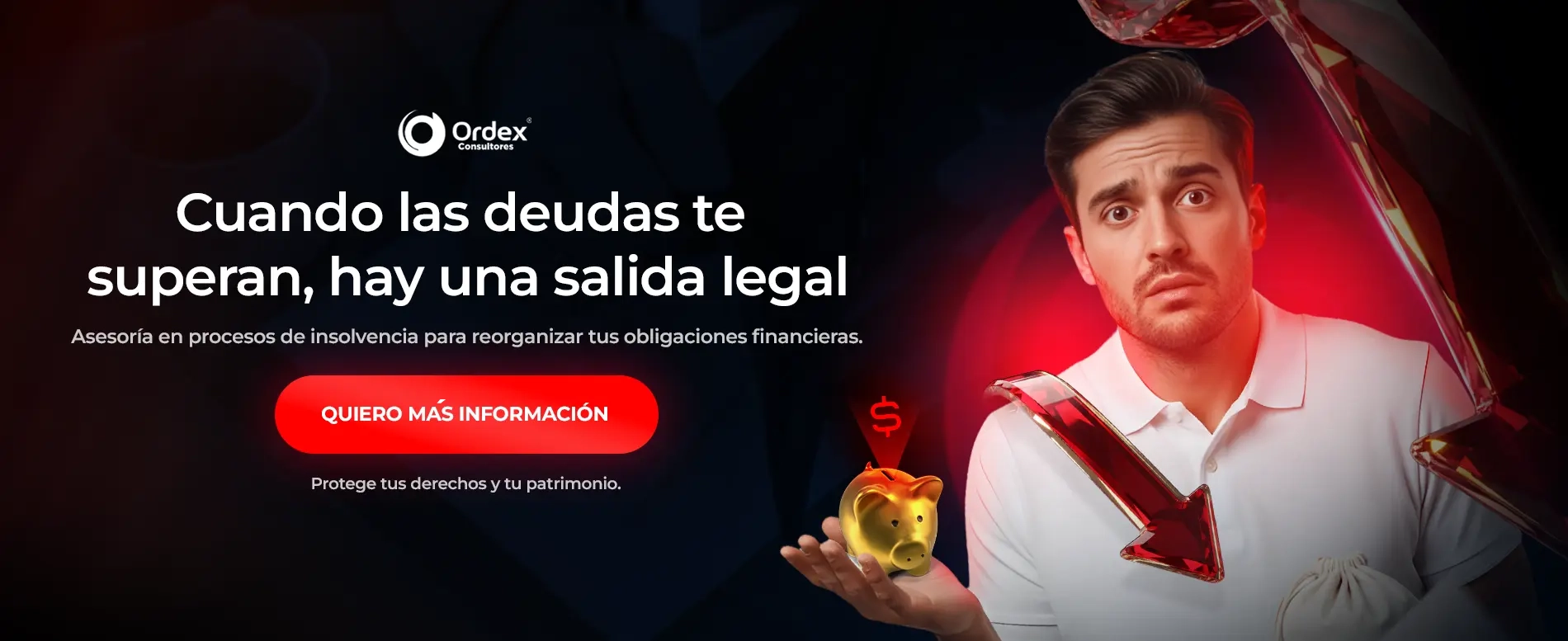 Insolvencia Economica